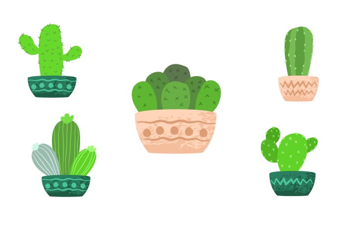 Aesthetic potted cactus tree. 46899992 Vector Art at Vecteezy